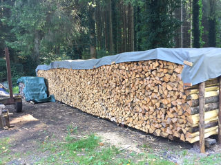 Rentrer du bois - ACTIE-SERVICES - Toul (54)